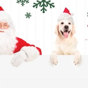 photos with santa, dog daycare san antonio
