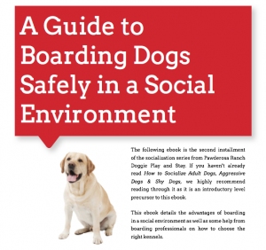 Boarding Dogs Safely