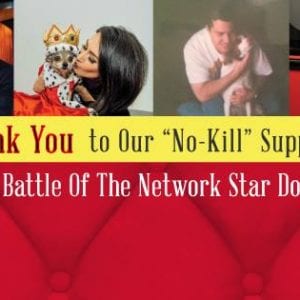Battle of The Network Stars Thank You, Pawderosa Ranch, dog boarding san antonio
