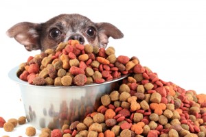 dog food weight