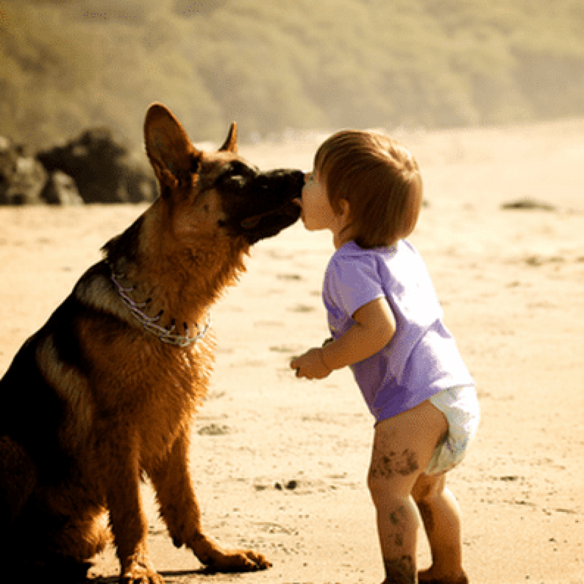 Какой самый 1 друг человека. Собака друг человека. Собака лучший друг человека. Цитаты о животных для детей. Собака - лучший друг.