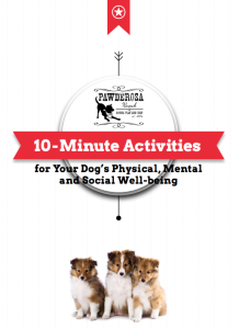 10-minute activities for your dog