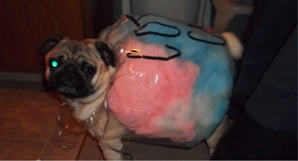 cotton candy dog