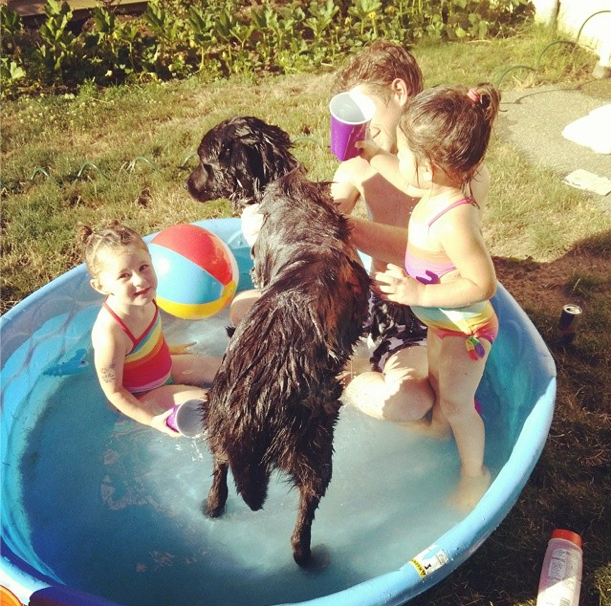 dog in kids pool
