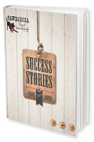 Success Stories form Pawderosa Ranch Ebook