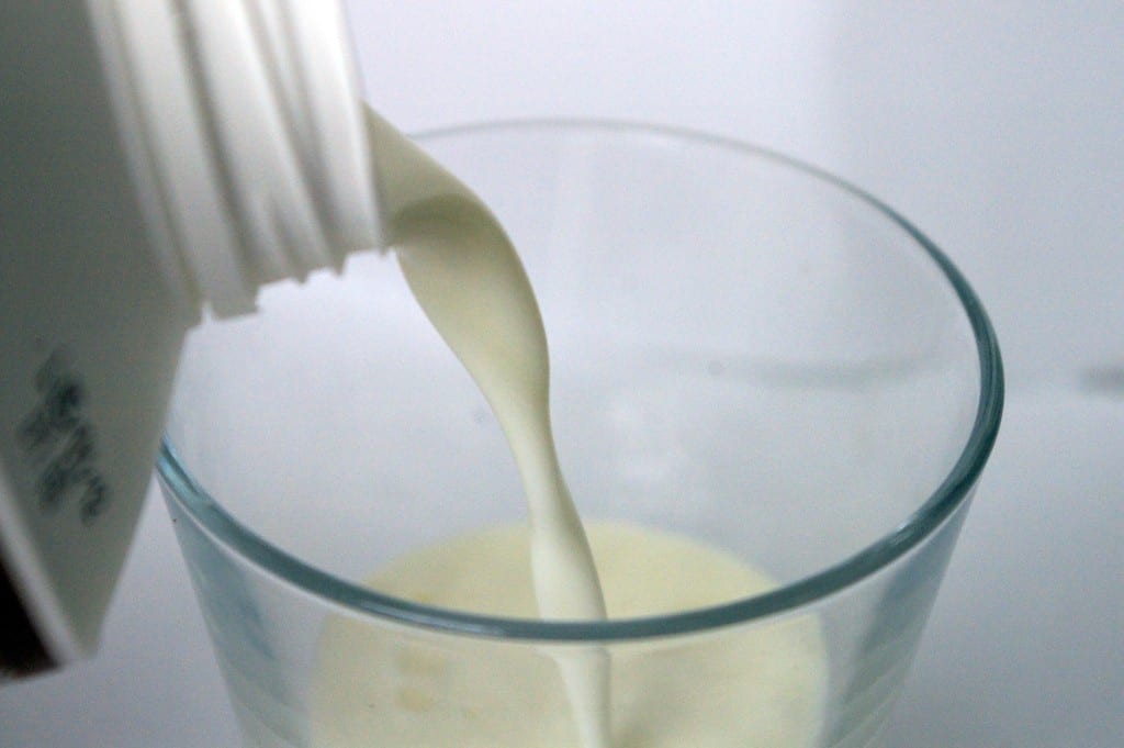 milk dairy