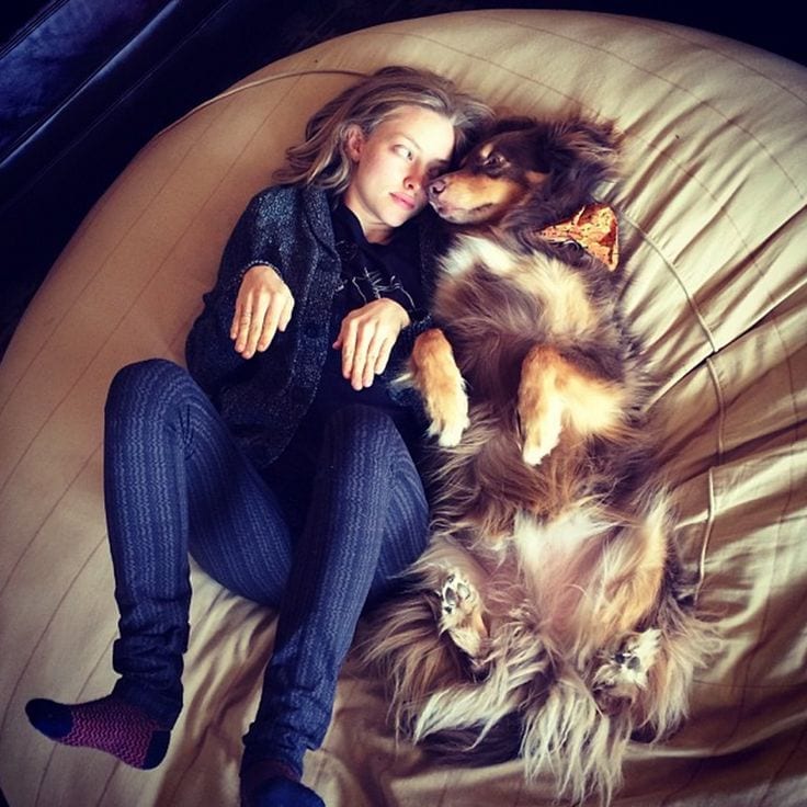 Amanda Seyfried and dog Finn laying on back photo by barkpost.com