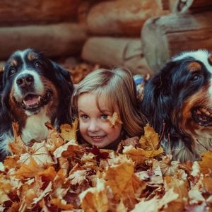 girl in leaves with bernese