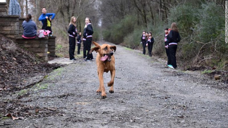 Marathon Dog runs race
