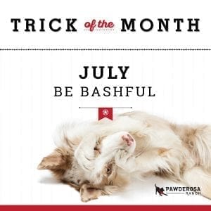 paw trick of the month july