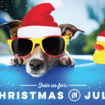 Pawderosa Ranch Christmas in july dog with sunglasses