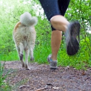 Take your dog for a run!