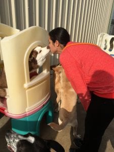 Dog giving enrichment coordinator a kiss