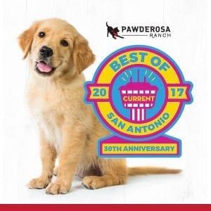 Voted Best Dog Day Care in San Antonio by San Antonio Current Staff