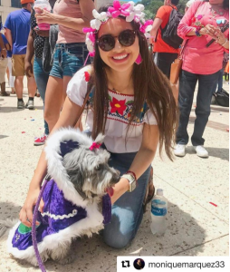 Dog at Fiesta Parade Dressed Up
