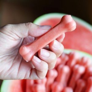 DIY Frozen Dog Treat Watermelon