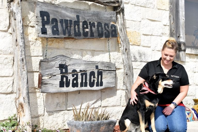 San Antonio Dog Kennel | Pawderosa Ranch