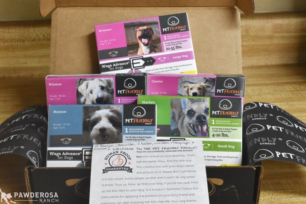 PetFriendly Direct Flea Treatment