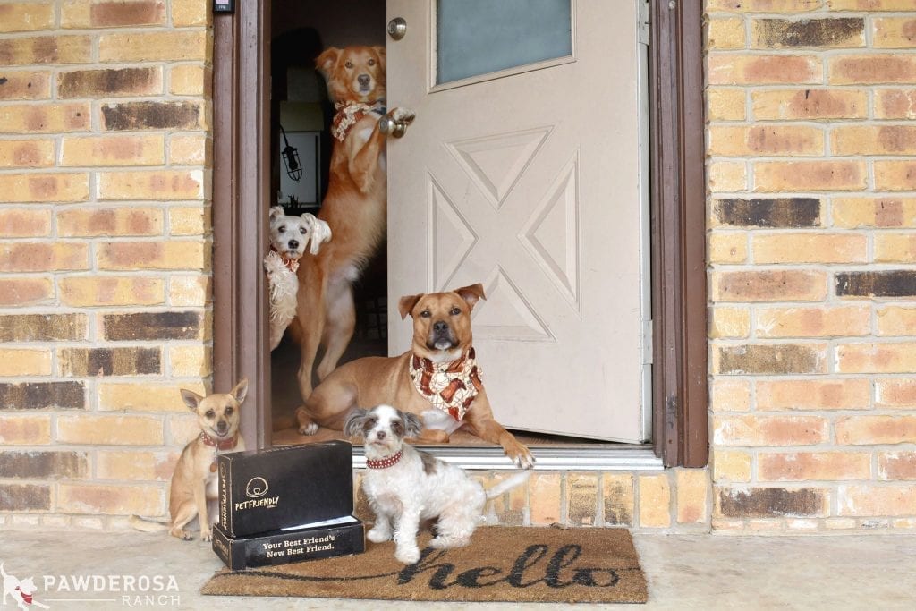 PetFriendly Direct Flea Treatment