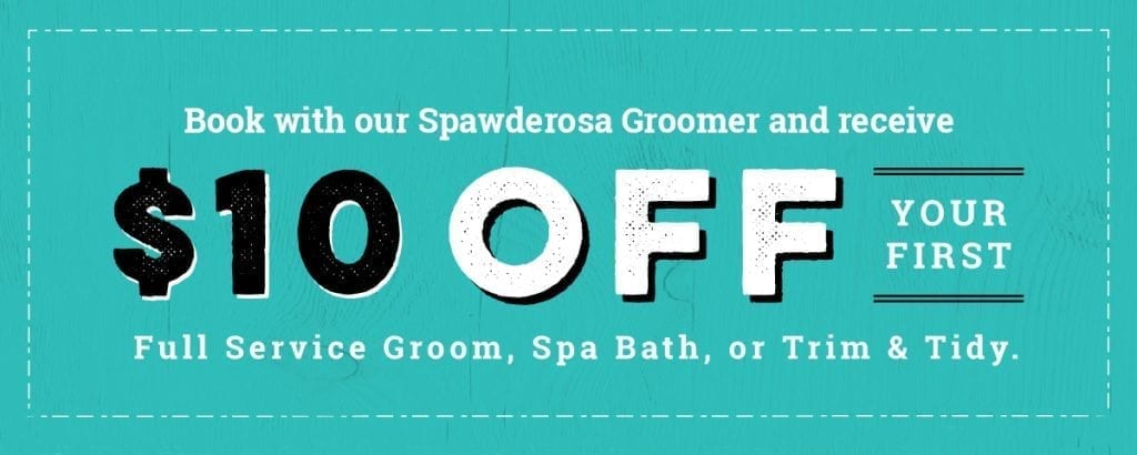 Coupon for $10 off of San Antonio Grooming