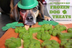 Dog with st. Patrick's Day Frozen Treats
