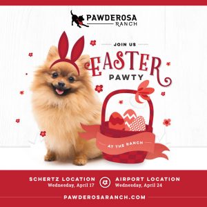 Dog Easter Party