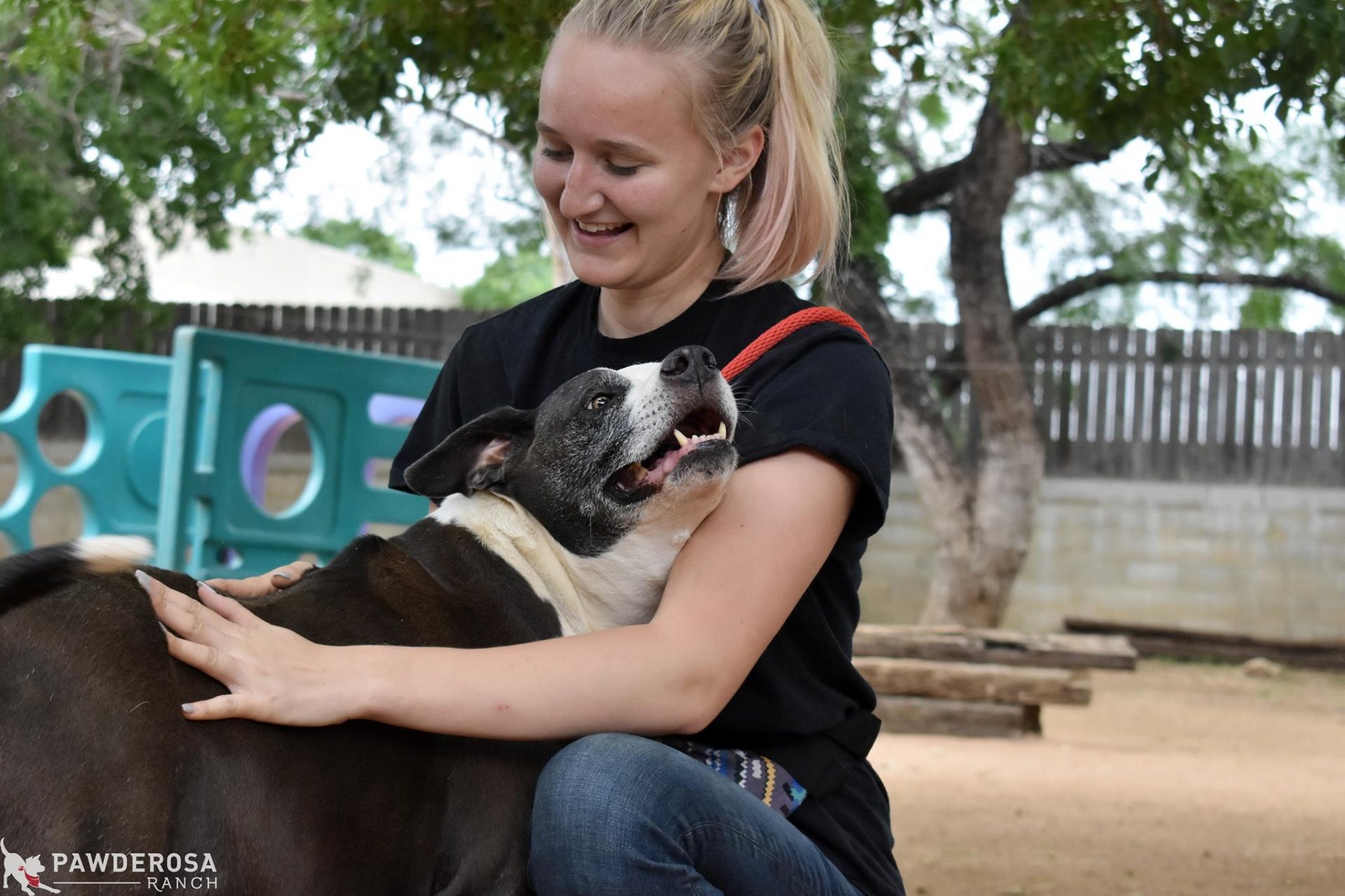 Dog Boarding San Antonio Pawderosa Ranch