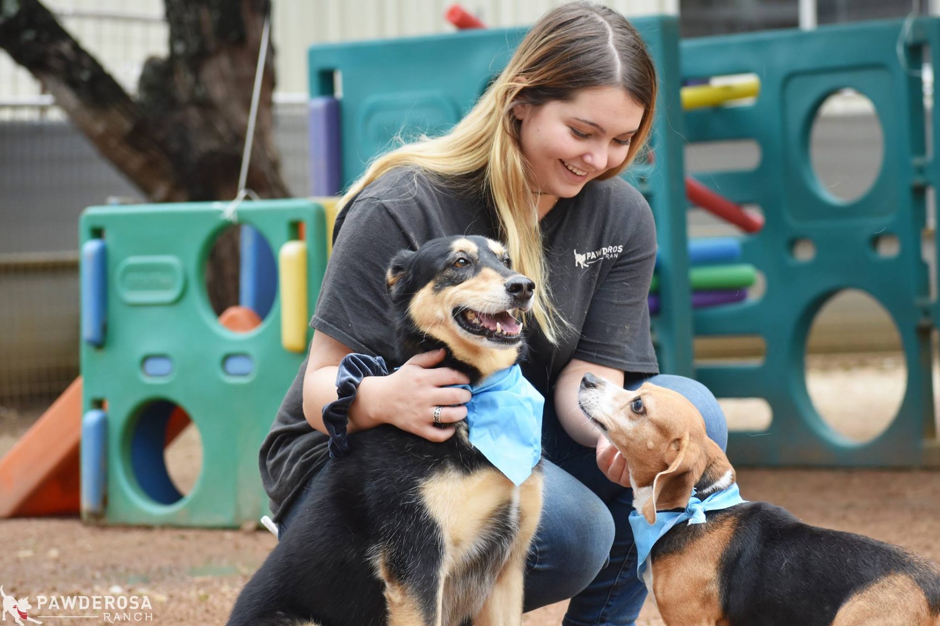Best Dog Boarding in San Antonio Pawderosa Ranch