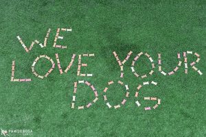 Dog treats says "We Love Your Dog"