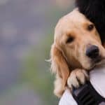 Dog hugging a man - The History of a Man's Best Friend