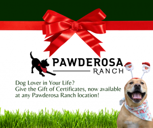 Gift certificates are available for the dog lover in your life