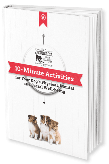 dog daycare san antonio, dog boarding san antonio