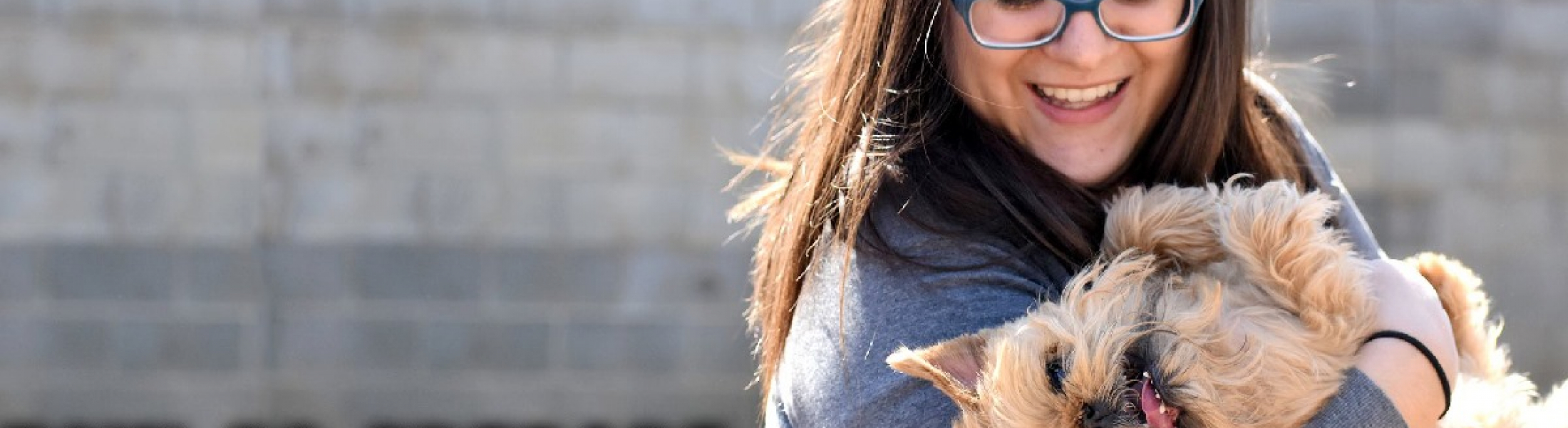 Best Dog Boarding San Antonio Pawderosa Ranch