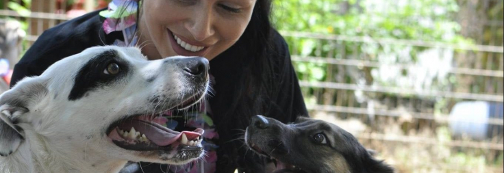 the ranch dog kennel